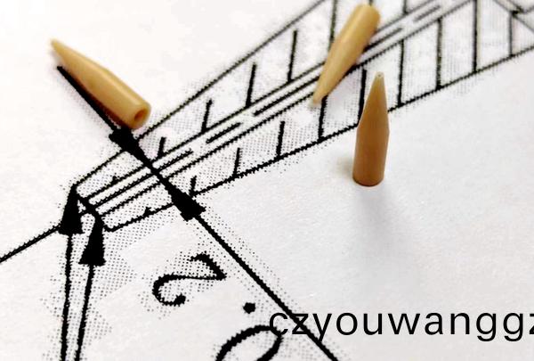 精密微孔(kong)吸嘴(zui)